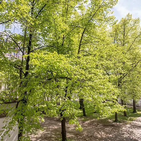Park View Old Town شقة